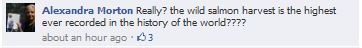 Wild salmon harvest? 