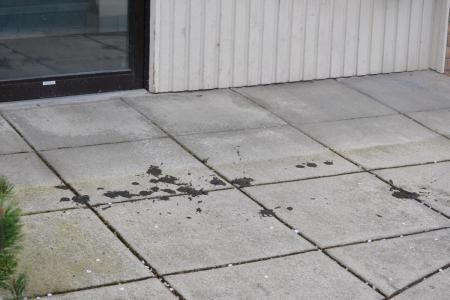 Lets leave the mud here for people to step in 